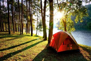 Orange camping tents in pine tree forest by the lake at Pang Oung Lake (Pang Tong reservoir), Mae hong son, Thailand.